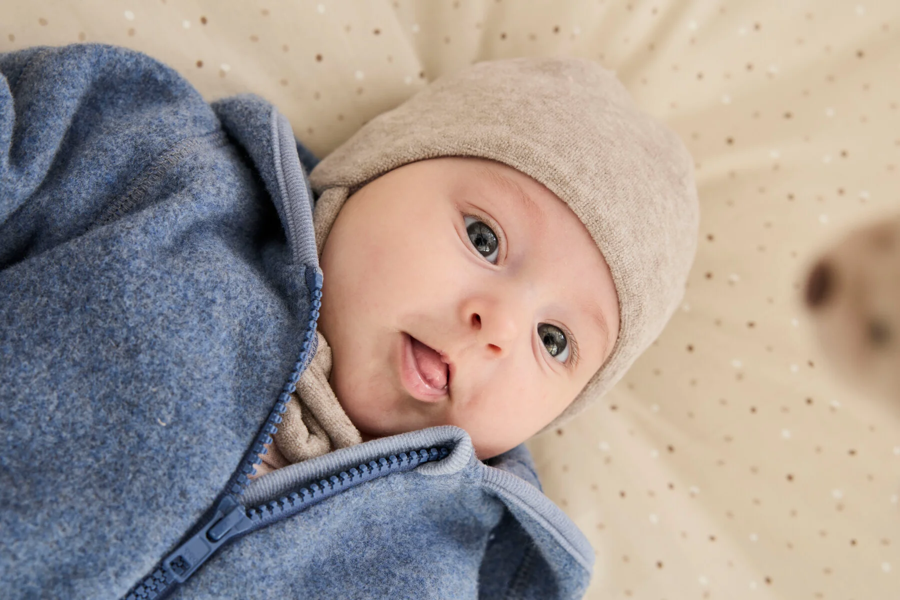 Beanie - Image 8